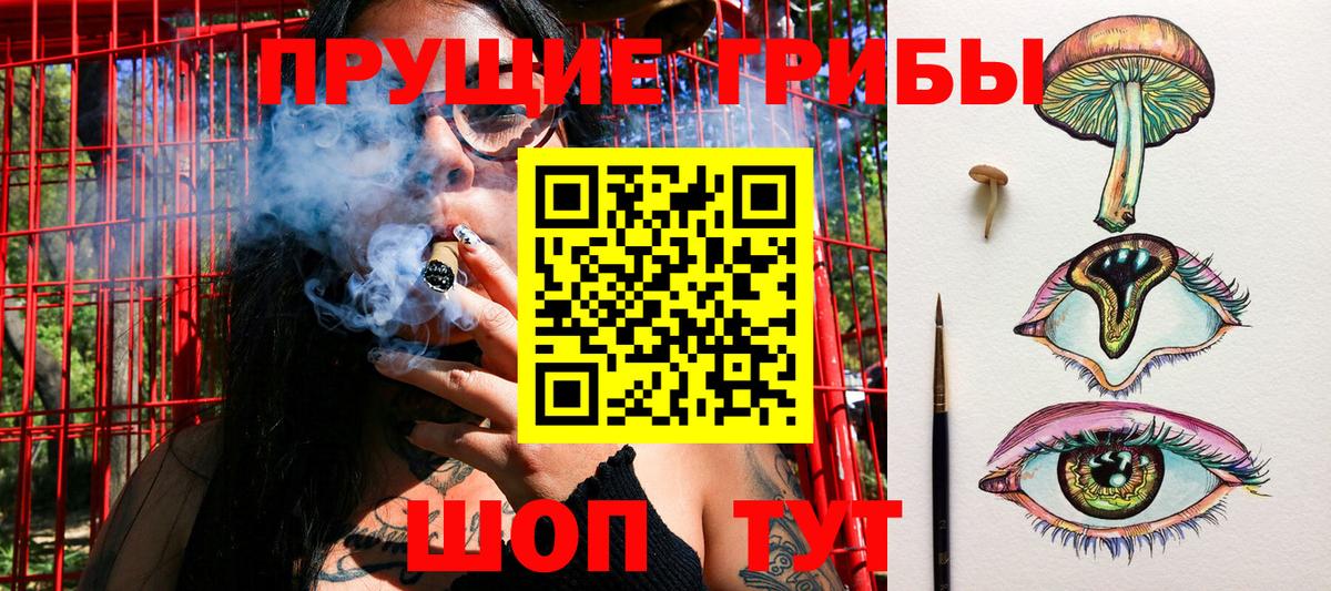 Псилоцибиновые грибы мицелий Северодвинск