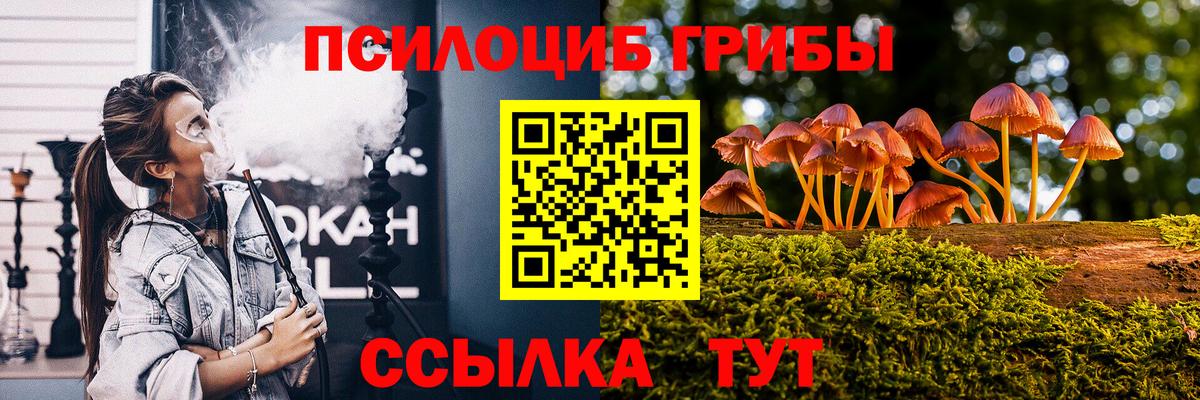 Северодвинск  Галлюциногенные грибы прущие грибы  Вход с VPN 